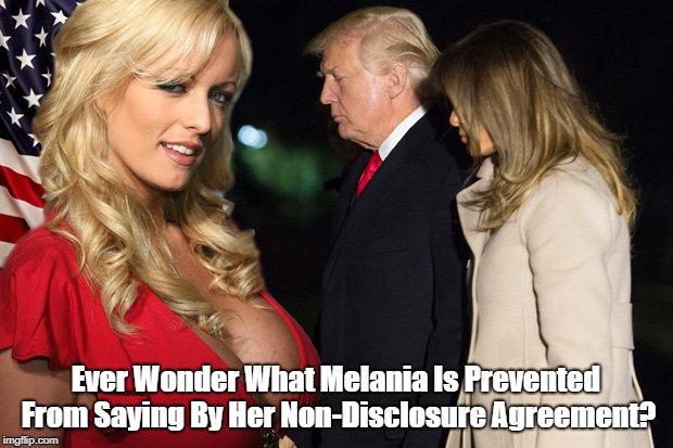 Ever Wonder What Melania Is Prevented From Saying By Her Non-Disclosure Agreement? | made w/ Imgflip meme maker