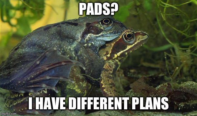 PADS? I HAVE DIFFERENT PLANS | made w/ Imgflip meme maker