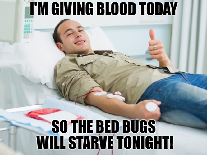 No Blood = No Bed Bugs | I'M GIVING BLOOD TODAY; SO THE BED BUGS WILL STARVE TONIGHT! | image tagged in blood donate thumbs up,bedbugs,thumbs up,blood,bed bugs,patient | made w/ Imgflip meme maker