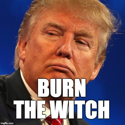 burn the witch | THE WITCH; BURN | image tagged in witch,witch hunt,donald trump,trump,maga | made w/ Imgflip meme maker