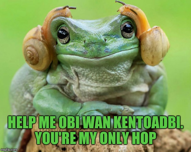 (Full disclosure, this is a tweaked repost for Frog Week) Frog Week, June 4-10, a JBmemegeek & giveuahint event! |  HELP ME OBI WAN KENTOADBI. YOU'RE MY ONLY HOP | image tagged in help me obi wan,princess leia,jbmemegeek,frog week,giveuahint,star wars | made w/ Imgflip meme maker