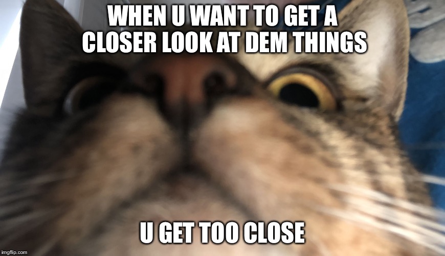Ah herlo | WHEN U WANT TO GET A CLOSER LOOK AT DEM THINGS; U GET TOO CLOSE | image tagged in ah herlo | made w/ Imgflip meme maker