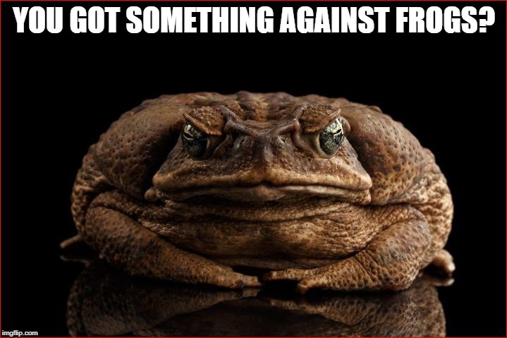 YOU GOT SOMETHING AGAINST FROGS? | made w/ Imgflip meme maker