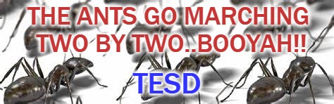 TESD Ants | THE ANTS GO MARCHING TWO BY TWO..BOOYAH!! TESD | image tagged in advertisement | made w/ Imgflip meme maker