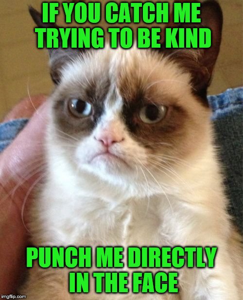 Grumpy Cat Meme | IF YOU CATCH ME TRYING TO BE KIND PUNCH ME DIRECTLY IN THE FACE | image tagged in memes,grumpy cat | made w/ Imgflip meme maker