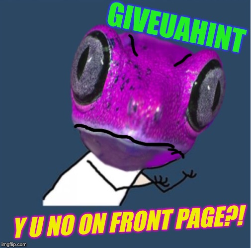(Frog Week June 4-10, a JBmemegeek & giveuahint event!) | GIVEUAHINT; Y U NO ON FRONT PAGE?! | image tagged in frog week,giveuahint,y u no guy,imgflip humor,animal | made w/ Imgflip meme maker