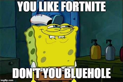 Don't You Squidward | YOU LIKE FORTNITE; DON'T YOU BLUEHOLE | image tagged in memes,dont you squidward | made w/ Imgflip meme maker