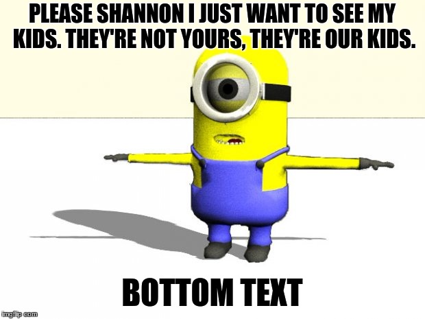 minion t pose | PLEASE SHANNON I JUST WANT TO SEE MY KIDS. THEY'RE NOT YOURS, THEY'RE OUR KIDS. BOTTOM TEXT | image tagged in minion t pose | made w/ Imgflip meme maker
