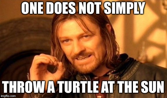 One Does Not Simply Meme | ONE DOES NOT SIMPLY THROW A TURTLE AT THE SUN | image tagged in memes,one does not simply | made w/ Imgflip meme maker