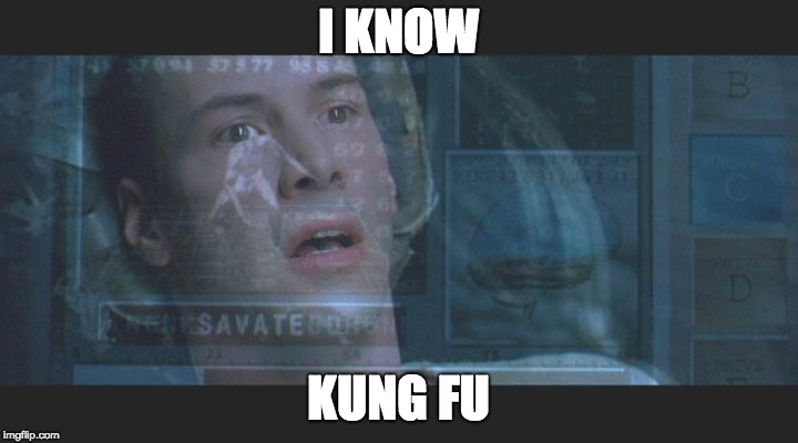Neo i know kung fu | I KNOW; KUNG FU | image tagged in neo i know kung fu | made w/ Imgflip meme maker