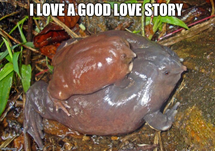 I LOVE A GOOD LOVE STORY | made w/ Imgflip meme maker