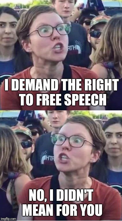 Two faced liberals | I DEMAND THE RIGHT TO FREE SPEECH; NO, I DIDN'T MEAN FOR YOU | image tagged in angry liberal hypocrite,memes | made w/ Imgflip meme maker