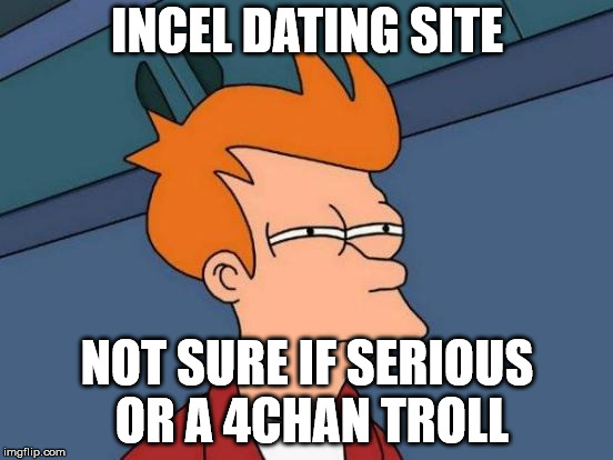 Futurama Fry | INCEL DATING SITE; NOT SURE IF SERIOUS OR A 4CHAN TROLL | image tagged in memes,futurama fry | made w/ Imgflip meme maker