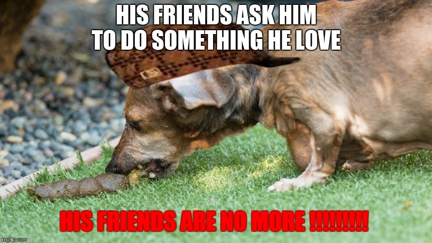 poop dog  | HIS FRIENDS ASK HIM TO DO SOMETHING HE LOVE; HIS FRIENDS ARE NO MORE !!!!!!!!! | image tagged in bad pun dog,scumbag | made w/ Imgflip meme maker
