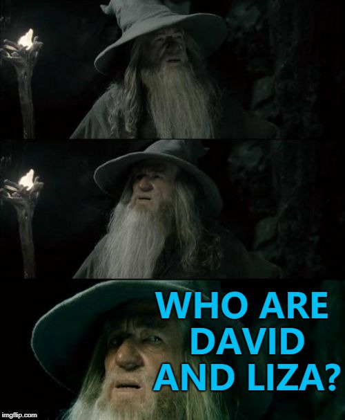 They're YouTubers apparently... | WHO ARE DAVID AND LIZA? | image tagged in memes,confused gandalf,david and liza | made w/ Imgflip meme maker