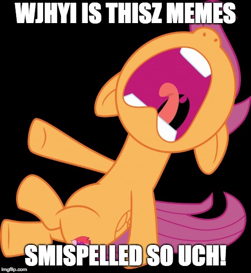 LOL! I purposely missepelled this meme! | WJHYI IS THISZ MEMES; SMISPELLED SO UCH! | image tagged in frightened scootaloo,memes,misspelled,xanderbrony,ponies,spelling error | made w/ Imgflip meme maker