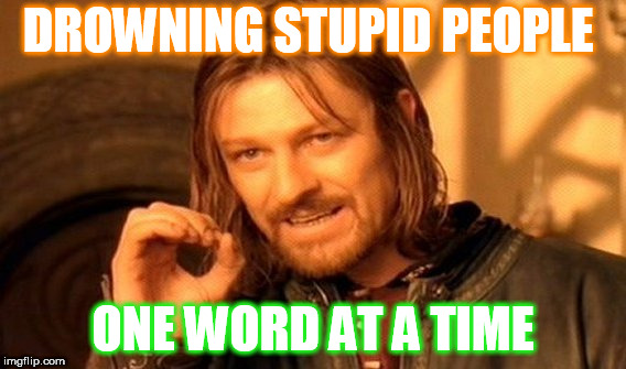 One Does Not Simply Meme | DROWNING STUPID PEOPLE; ONE WORD AT A TIME | image tagged in memes,one does not simply | made w/ Imgflip meme maker