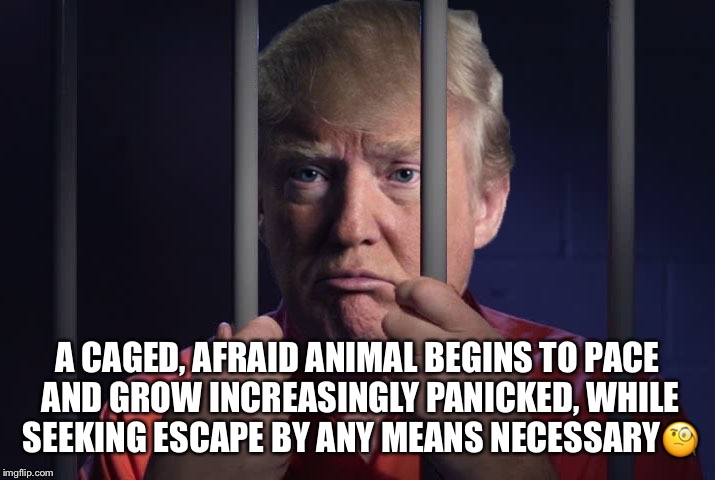 Guilty As Trump - Imgflip