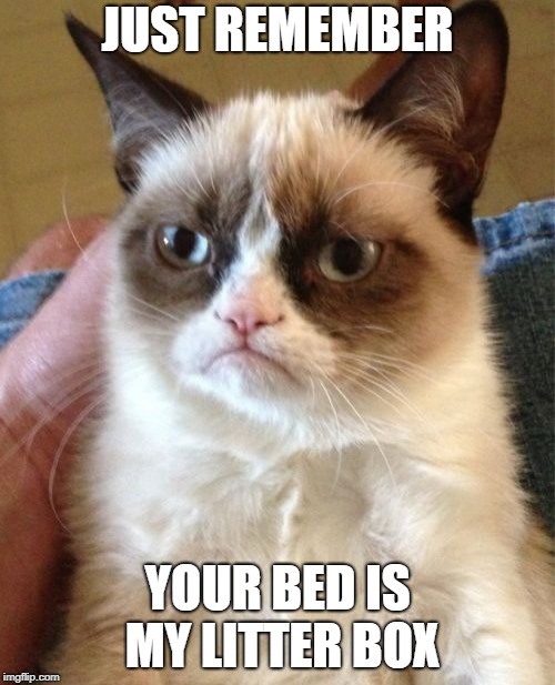 Grumpy Cat | JUST REMEMBER; YOUR BED IS MY LITTER BOX | image tagged in memes,grumpy cat | made w/ Imgflip meme maker