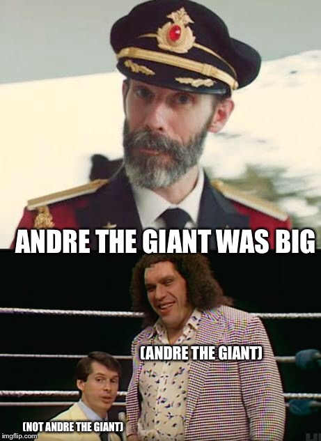 Obviously  | ANDRE THE GIANT WAS BIG; (ANDRE THE GIANT); (NOT ANDRE THE GIANT) | image tagged in captain obvious,andre the giant | made w/ Imgflip meme maker