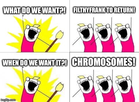 FilthyFrank Fans | WHAT DO WE WANT?! FILTHYFRANK TO RETURN! CHROMOSOMES! WHEN DO WE WANT IT?! | image tagged in memes,what do we want | made w/ Imgflip meme maker