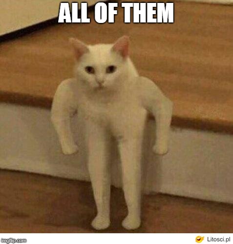 Buff Half Cat | ALL OF THEM | image tagged in buff half cat | made w/ Imgflip meme maker