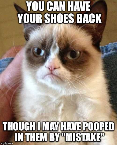 Grumpy Cat Meme | YOU CAN HAVE YOUR SHOES BACK THOUGH I MAY HAVE POOPED IN THEM BY "MISTAKE" | image tagged in memes,grumpy cat | made w/ Imgflip meme maker