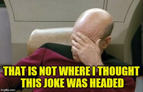 Captain Picard Facepalm Meme | THAT IS NOT WHERE I THOUGHT THIS JOKE WAS HEADED | image tagged in memes,captain picard facepalm | made w/ Imgflip meme maker