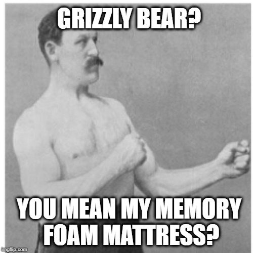 Overly Manly Man | GRIZZLY BEAR? YOU MEAN MY MEMORY FOAM MATTRESS? | image tagged in memes,overly manly man | made w/ Imgflip meme maker