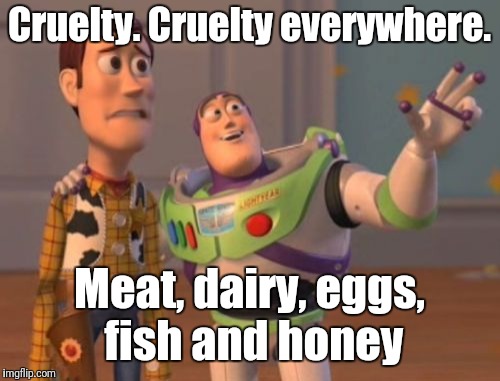 X, X Everywhere | Cruelty. Cruelty everywhere. Meat, dairy, eggs, fish and honey | image tagged in memes,x x everywhere | made w/ Imgflip meme maker