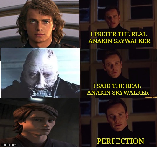 Will the real Anakin Skywalker please stand up? |  I PREFER THE REAL ANAKIN SKYWALKER; I SAID THE REAL ANAKIN SKYWALKER; PERFECTION | image tagged in perfection,star wars,anakin skywalker,clone wars,magneto | made w/ Imgflip meme maker