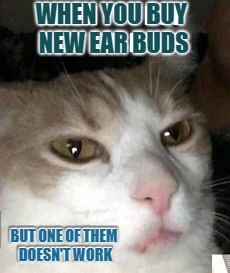 Well that's just pretty fantastic spectacular | WHEN YOU BUY NEW EAR BUDS; BUT ONE OF THEM DOESN'T WORK | image tagged in cat ear buds,bullcrap,cheap china made,piece of martian junk,memes | made w/ Imgflip meme maker