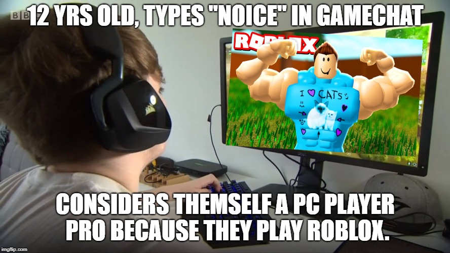 12 YRS OLD, TYPES "NOICE" IN GAMECHAT; CONSIDERS THEMSELF A PC PLAYER PRO BECAUSE THEY PLAY ROBLOX. | image tagged in cringe,cringe worthy,dank,dank memes,memes | made w/ Imgflip meme maker