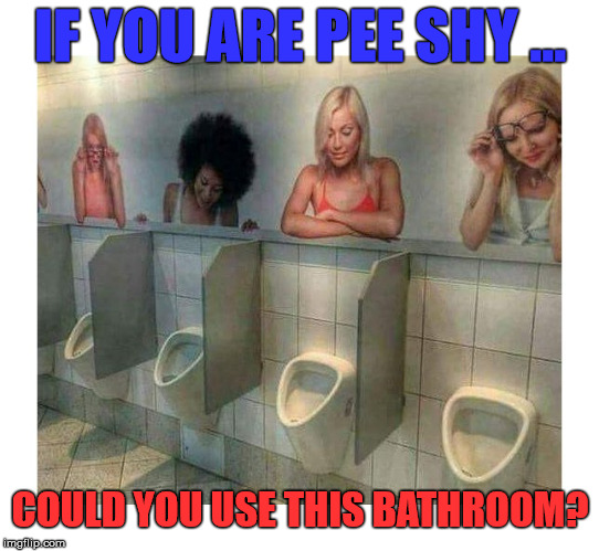 Would this bother you with the paintings? | IF YOU ARE PEE SHY ... COULD YOU USE THIS BATHROOM? | image tagged in memes,bathroom,funny,humor | made w/ Imgflip meme maker