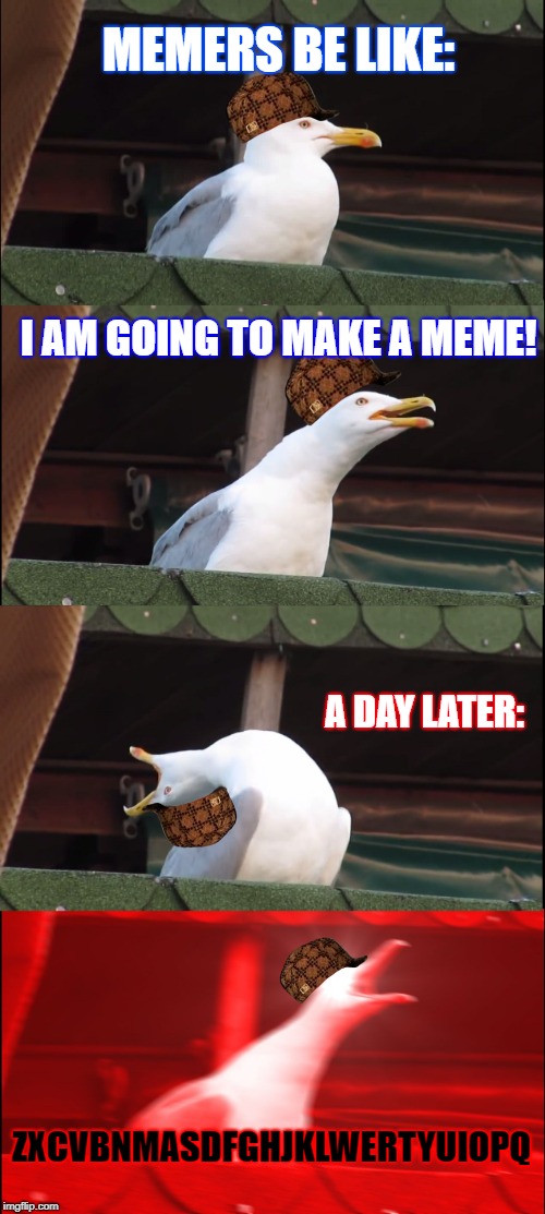 Making a meme be like | MEMERS BE LIKE:; I AM GOING TO MAKE A MEME! A DAY LATER:; ZXCVBNMASDFGHJKLWERTYUIOPQ | image tagged in memes,inhaling seagull,meme making,making memes,seagull,triggered | made w/ Imgflip meme maker