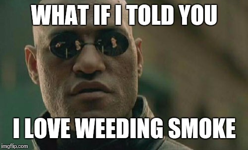 Matrix Morpheus Meme | WHAT IF I TOLD YOU I LOVE WEEDING SMOKE | image tagged in memes,matrix morpheus | made w/ Imgflip meme maker