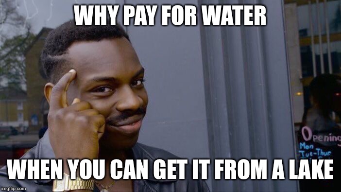 Roll Safe Think About It | WHY PAY FOR WATER; WHEN YOU CAN GET IT FROM A LAKE | image tagged in memes,roll safe think about it | made w/ Imgflip meme maker