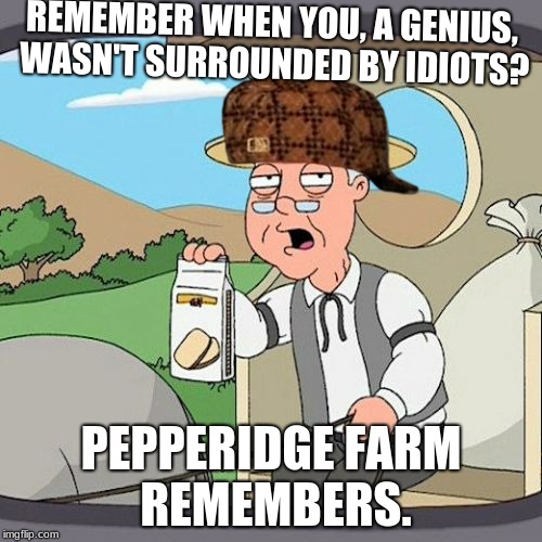 Pepperidge Farm Remembers | REMEMBER WHEN YOU, A GENIUS, WASN'T SURROUNDED BY IDIOTS? PEPPERIDGE FARM REMEMBERS. | image tagged in memes,pepperidge farm remembers,scumbag | made w/ Imgflip meme maker