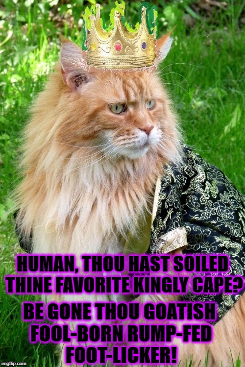 HUMAN, THOU HAST SOILED THINE FAVORITE KINGLY CAPE? BE GONE THOU GOATISH FOOL-BORN RUMP-FED FOOT-LICKER! | image tagged in his royal prickness | made w/ Imgflip meme maker