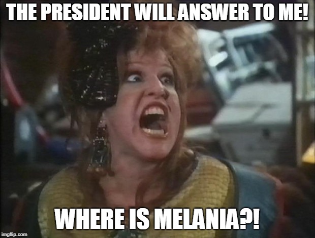 THE PRESIDENT WILL ANSWER TO ME! WHERE IS MELANIA?! | image tagged in bette midler ruthless people | made w/ Imgflip meme maker