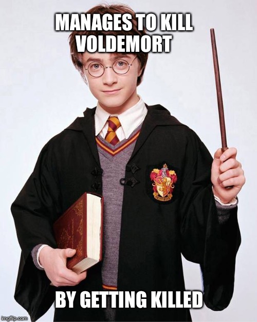 MANAGES TO KILL VOLDEMORT; BY GETTING KILLED | image tagged in harry potter,memes,magic,funny | made w/ Imgflip meme maker