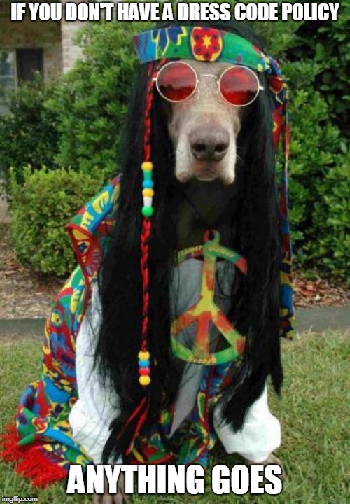 Hippie dog  | IF YOU DON'T HAVE A DRESS CODE POLICY; ANYTHING GOES | image tagged in hippie dog | made w/ Imgflip meme maker