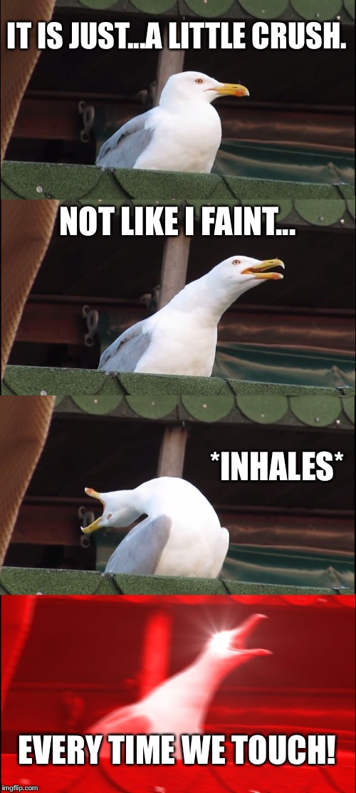 Seagull single 90s Pop Hit | IT IS JUST...A LITTLE CRUSH. NOT LIKE I FAINT... *INHALES*; EVERY TIME WE TOUCH! | image tagged in memes,inhaling seagull,jennifer paige,crush,music,pop | made w/ Imgflip meme maker