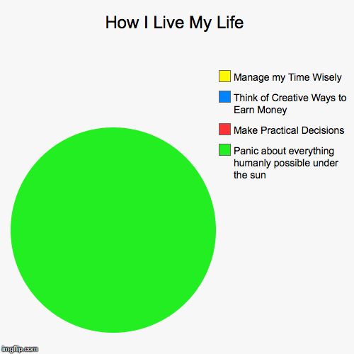 How I Live My Life | Panic about everything humanly possible under the sun, Make Practical Decisions, Think of Creative Ways to Earn Money,  | image tagged in funny,pie charts | made w/ Imgflip chart maker