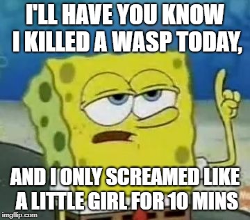 I'll Have You Know Spongebob | I'LL HAVE YOU KNOW I KILLED A WASP TODAY, AND I ONLY SCREAMED LIKE A LITTLE GIRL FOR 10 MINS | image tagged in memes,ill have you know spongebob | made w/ Imgflip meme maker