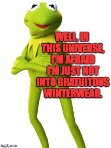 WELL, IN THIS UNIVERSE, I'M AFRAID I'M JUST NOT INTO GRATUITOUS WINTERWEAR. | made w/ Imgflip meme maker