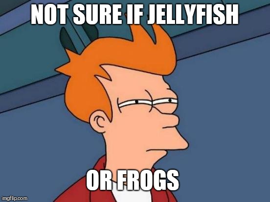 Futurama Fry Meme | NOT SURE IF JELLYFISH OR FROGS | image tagged in memes,futurama fry | made w/ Imgflip meme maker