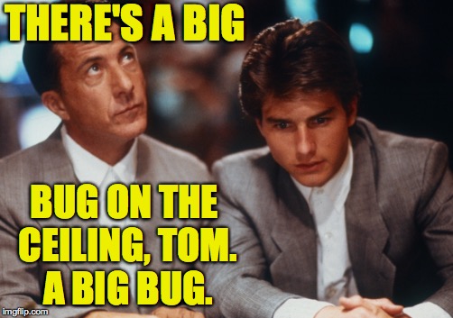 Things are looking up.  Def-definitely. | THERE'S A BIG; BUG ON THE CEILING, TOM. A BIG BUG. | image tagged in memes,dustin hoffman,rain man,bugs | made w/ Imgflip meme maker