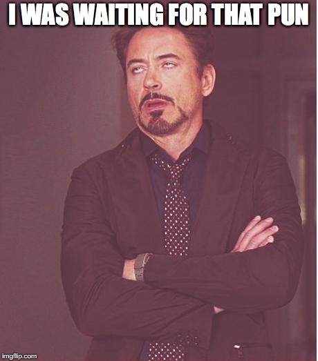 Face You Make Robert Downey Jr Meme | I WAS WAITING FOR THAT PUN | image tagged in memes,face you make robert downey jr | made w/ Imgflip meme maker