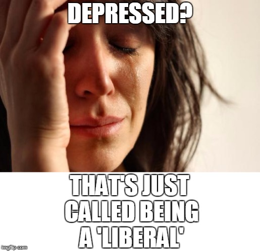 DEPRESSED? THAT'S JUST CALLED BEING A 'LIBERAL' | image tagged in first world problems,memes,liberals,depressed,conservative,liberal vs conservative | made w/ Imgflip meme maker